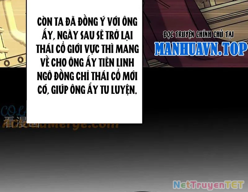 Đệ Tử Tu Luyện Còn Ta Thì Lười Biếng Chapter 154 - Trang 4
