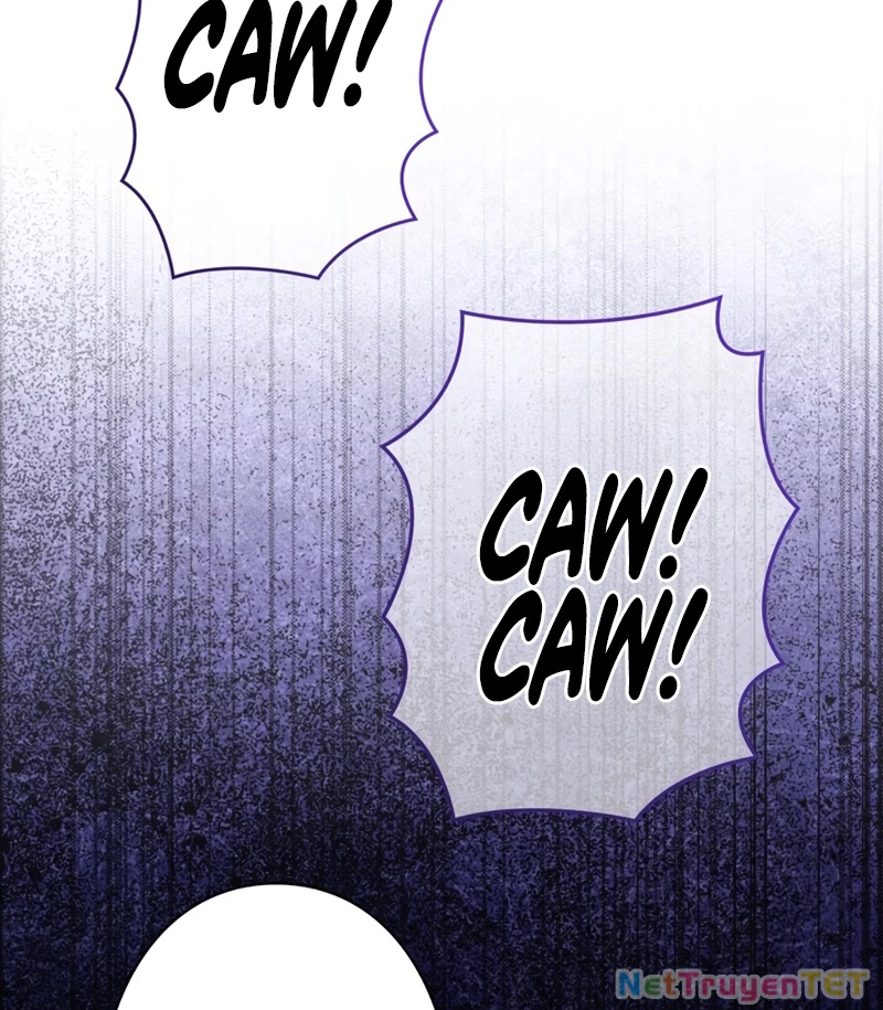 Các Nữ Anh Hùng Muốn Giết Tôi, Một Anh Hùng Chapter 18 - Trang 3