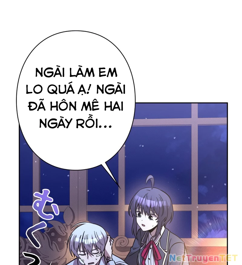 Các Nữ Anh Hùng Muốn Giết Tôi, Một Anh Hùng Chapter 19 - Trang 3