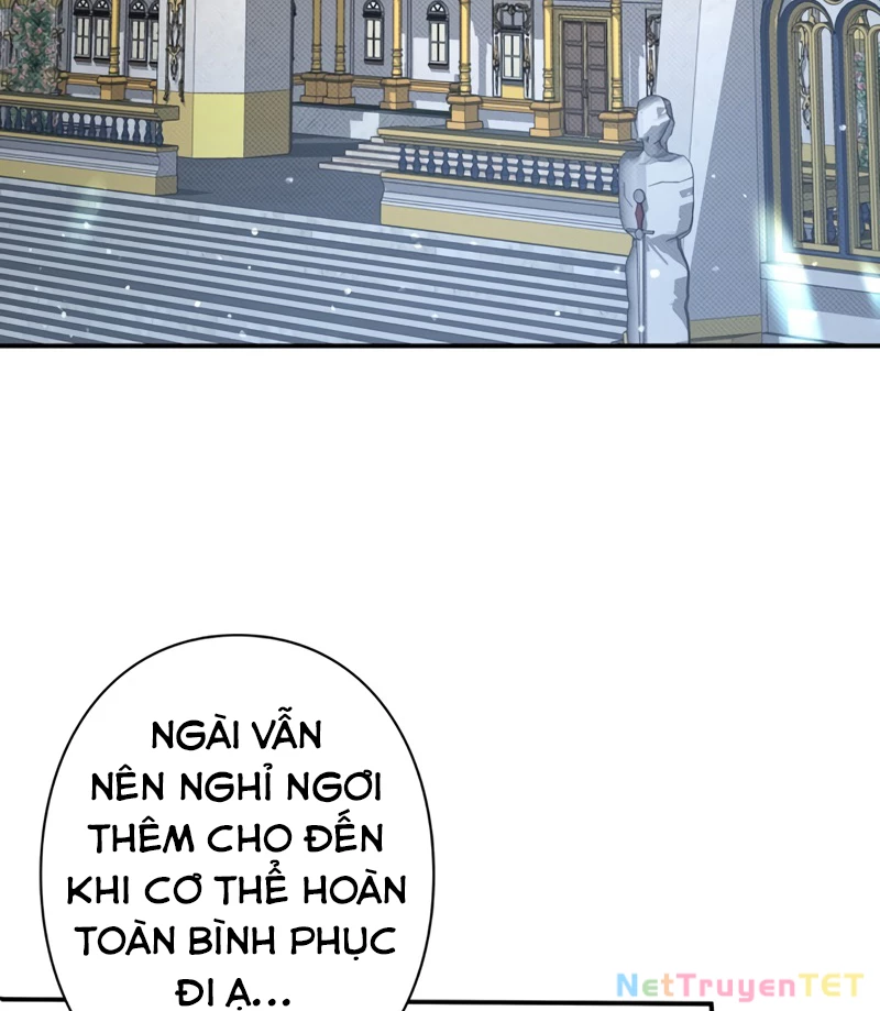 Các Nữ Anh Hùng Muốn Giết Tôi, Một Anh Hùng Chapter 19 - Trang 3