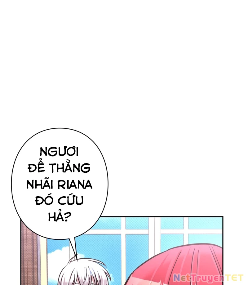 Các Nữ Anh Hùng Muốn Giết Tôi, Một Anh Hùng Chapter 19 - Trang 3