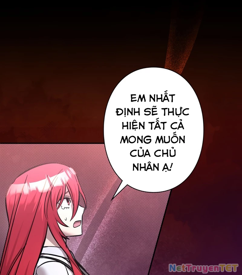 Các Nữ Anh Hùng Muốn Giết Tôi, Một Anh Hùng Chapter 19 - Trang 3
