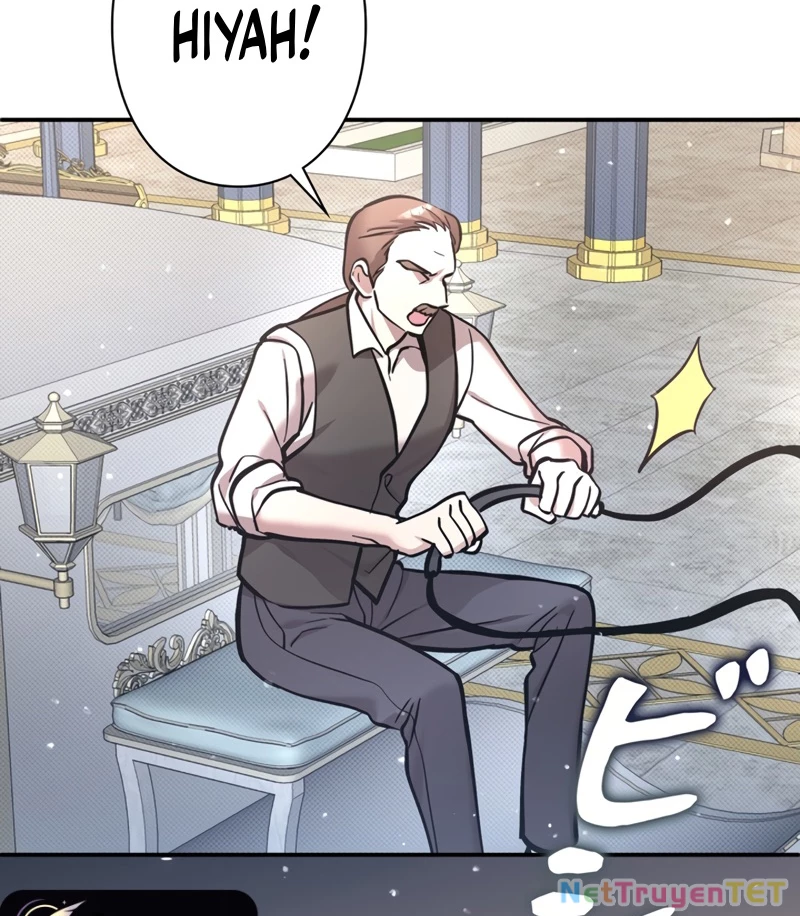 Các Nữ Anh Hùng Muốn Giết Tôi, Một Anh Hùng Chapter 19 - Trang 3
