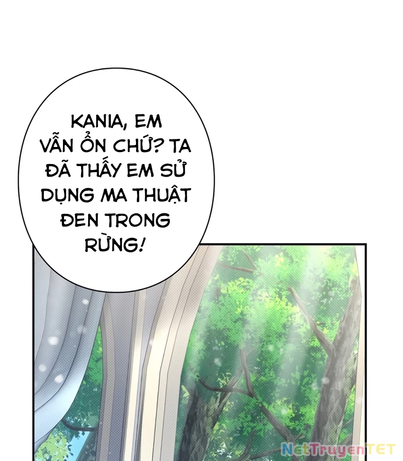 Các Nữ Anh Hùng Muốn Giết Tôi, Một Anh Hùng Chapter 19 - Trang 3