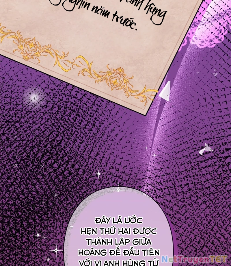 Các Nữ Anh Hùng Muốn Giết Tôi, Một Anh Hùng Chapter 22 - Trang 3