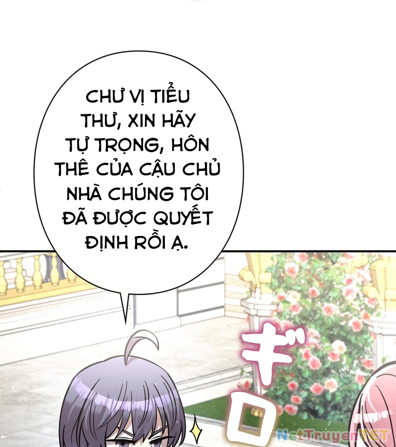 Các Nữ Anh Hùng Muốn Giết Tôi, Một Anh Hùng Chapter 22 - Trang 3