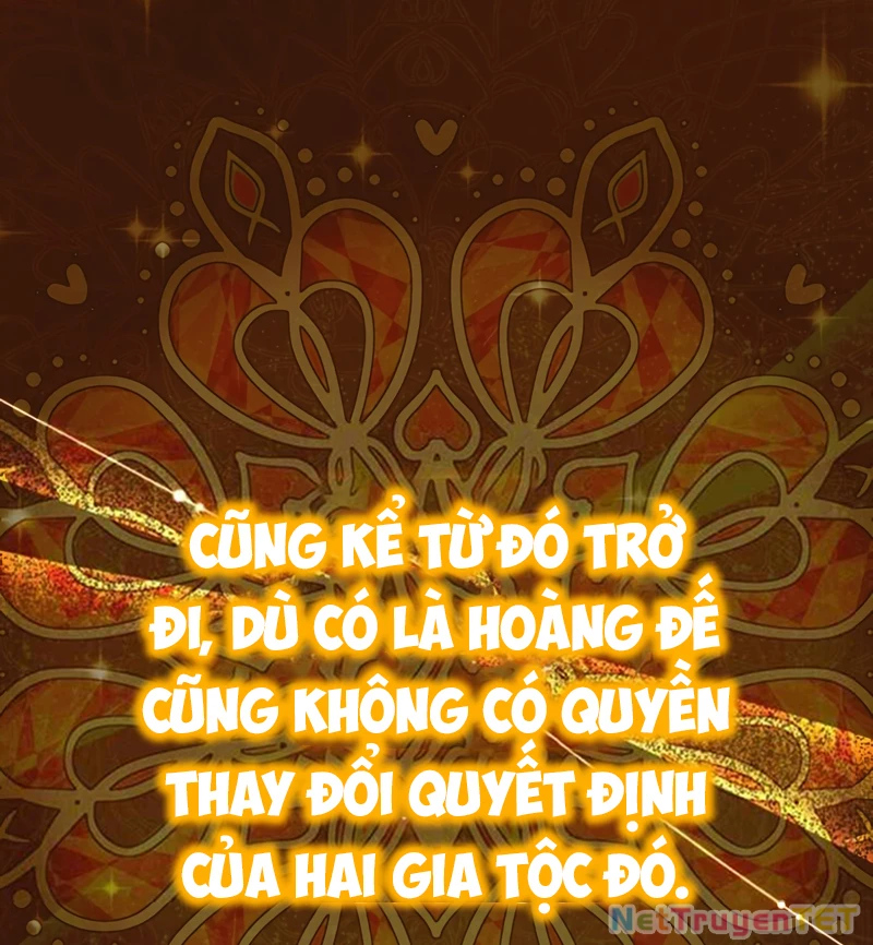 Các Nữ Anh Hùng Muốn Giết Tôi, Một Anh Hùng Chapter 22 - Trang 3