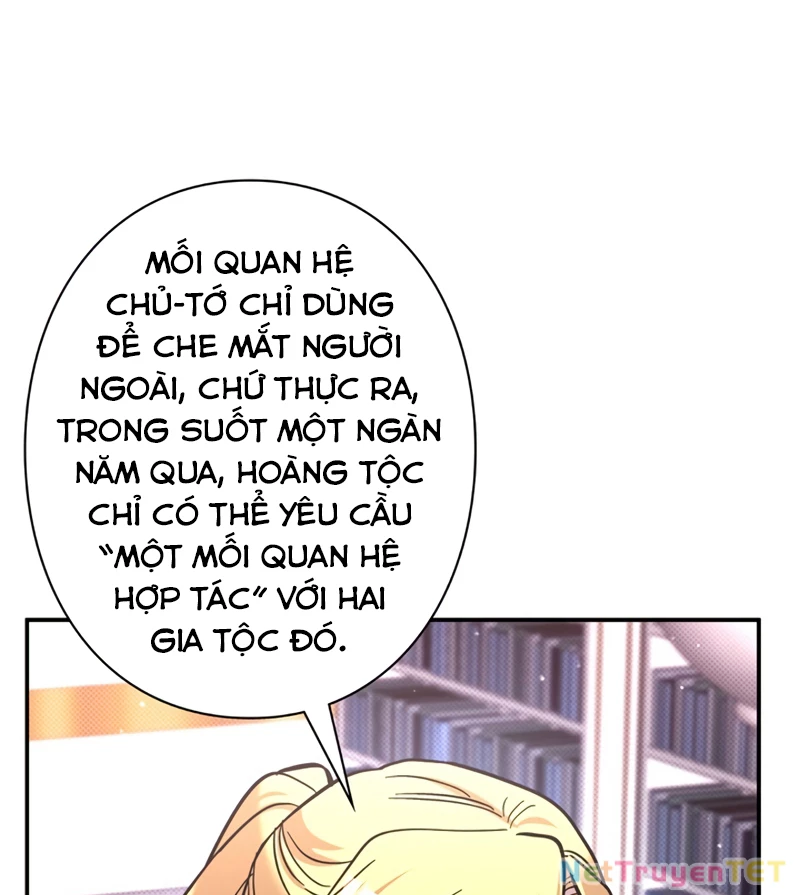 Các Nữ Anh Hùng Muốn Giết Tôi, Một Anh Hùng Chapter 22 - Trang 3
