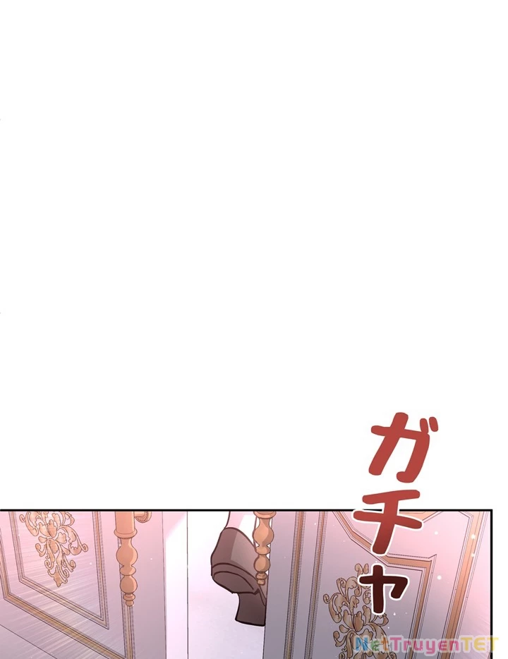 Các Nữ Anh Hùng Muốn Giết Tôi, Một Anh Hùng Chapter 23 - Trang 3