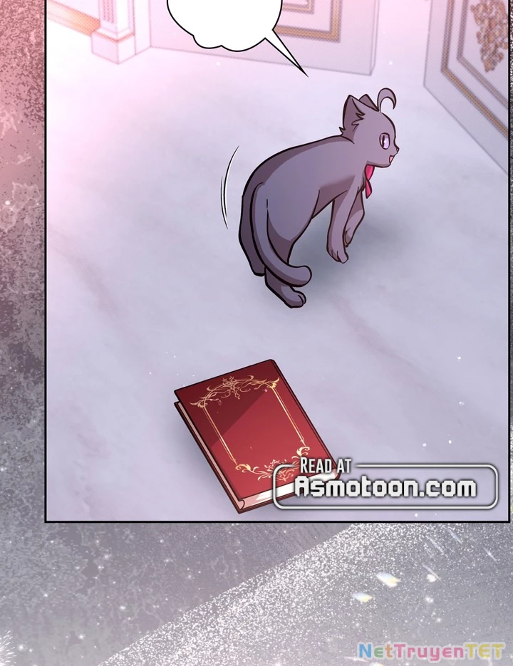 Các Nữ Anh Hùng Muốn Giết Tôi, Một Anh Hùng Chapter 23 - Trang 3
