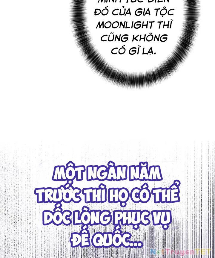 Các Nữ Anh Hùng Muốn Giết Tôi, Một Anh Hùng Chapter 23 - Trang 3