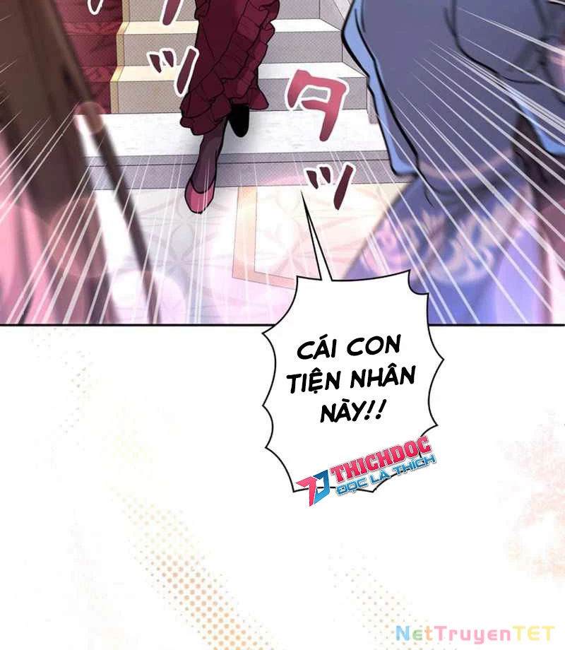 Các Nữ Anh Hùng Muốn Giết Tôi, Một Anh Hùng Chapter 24 - Trang 3