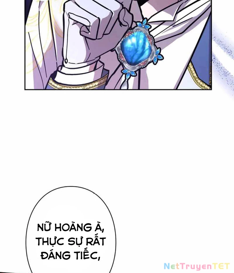 Các Nữ Anh Hùng Muốn Giết Tôi, Một Anh Hùng Chapter 24 - Trang 3