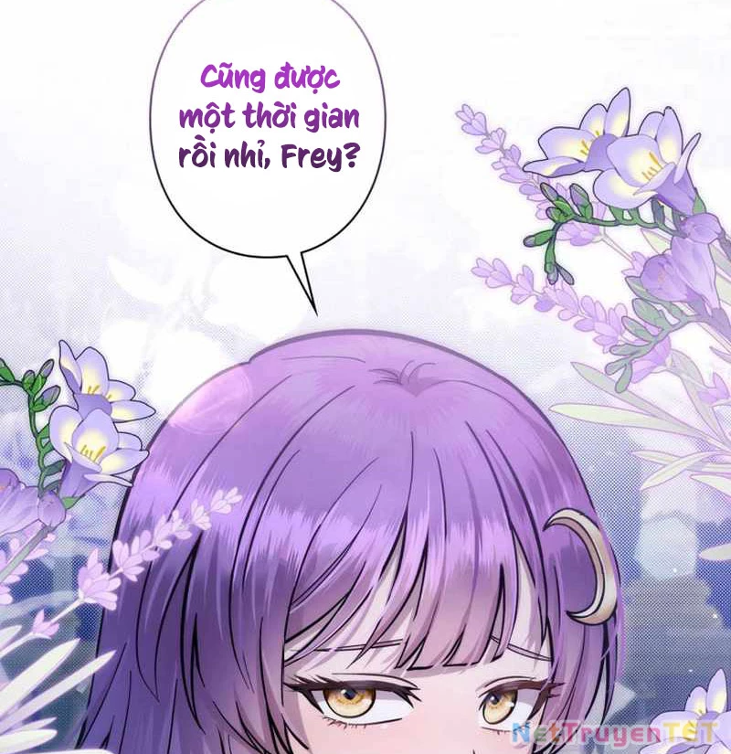 Các Nữ Anh Hùng Muốn Giết Tôi, Một Anh Hùng Chapter 25 - Trang 3