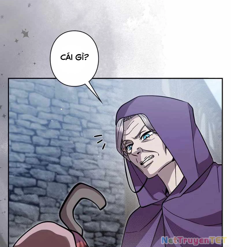 Các Nữ Anh Hùng Muốn Giết Tôi, Một Anh Hùng Chapter 25 - Trang 3