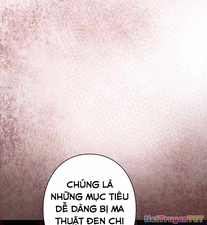 Các Nữ Anh Hùng Muốn Giết Tôi, Một Anh Hùng Chapter 25 - Trang 3