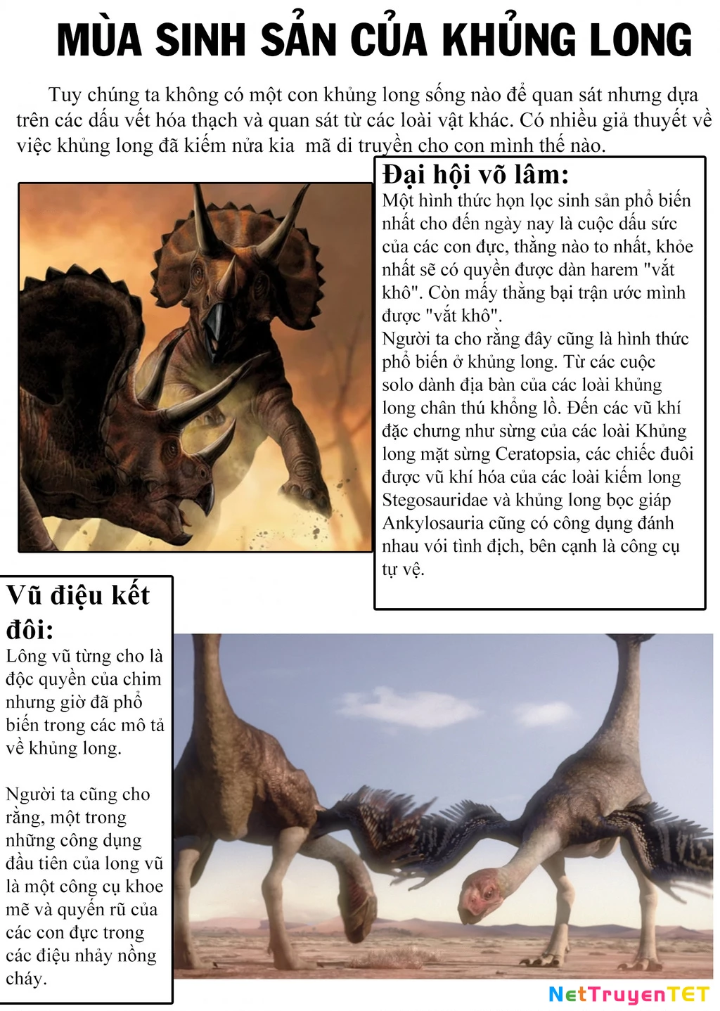 Khu bảo tồn khủng long Chapter 10 - Trang 2