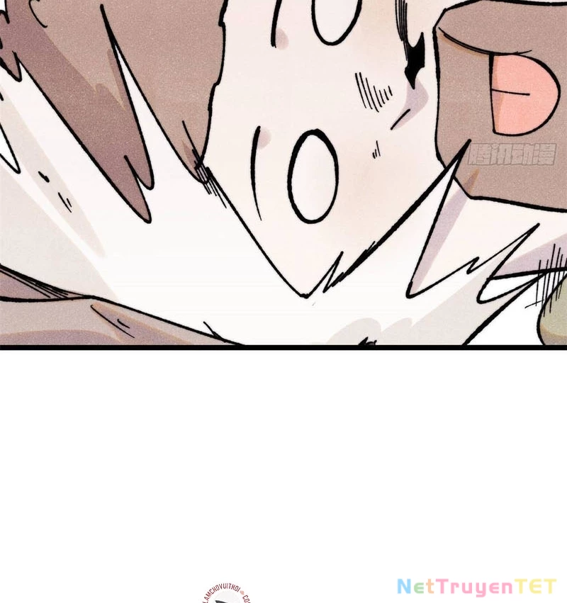 Vạn Cổ Tối Cường Tông Chapter 396 - Trang 4