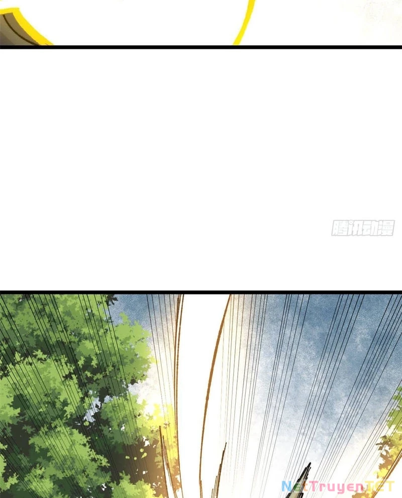 Vạn Cổ Tối Cường Tông Chapter 396 - Trang 4