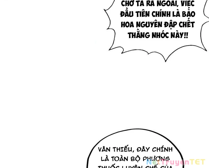 Vạn Cổ Chí Tôn Chapter 394 - Next Chapter 395