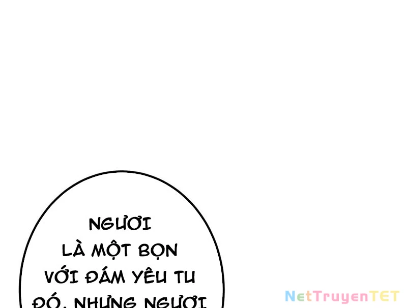 Chưởng Môn Khiêm Tốn Chút Chapter 469 - Trang 4