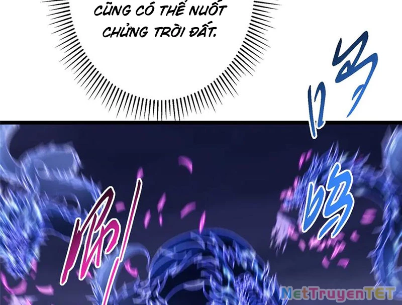 Chưởng Môn Khiêm Tốn Chút Chapter 469 - Trang 4