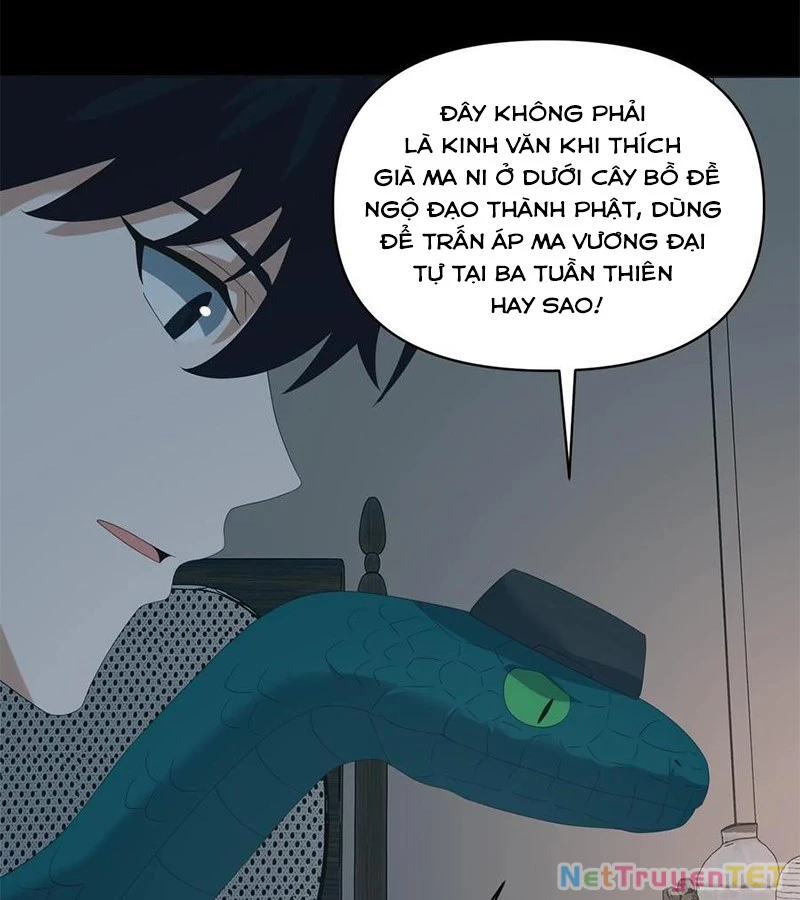 Ngày Tôi Sinh Ra, Bách Quỷ Dạ Hành, Tuyết Thi Hộ Đạo Chapter 552 - Trang 2