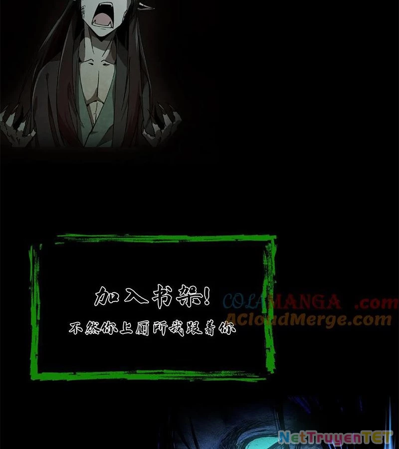 Ngày Tôi Sinh Ra, Bách Quỷ Dạ Hành, Tuyết Thi Hộ Đạo Chapter 552 - Trang 2