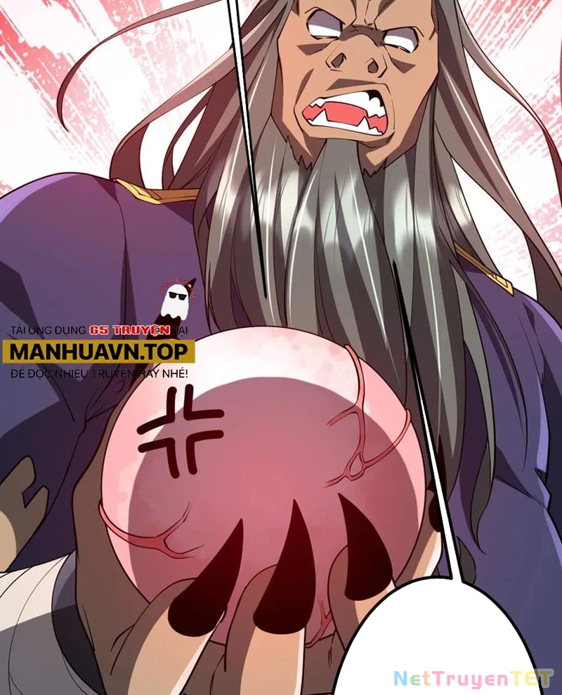 Bắt Đầu Với Trăm Vạn Minh Tệ Chapter 215 - Trang 4