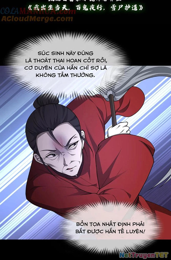 Ngày Tôi Sinh Ra, Bách Quỷ Dạ Hành, Tuyết Thi Hộ Đạo Chapter 217 - Trang 3