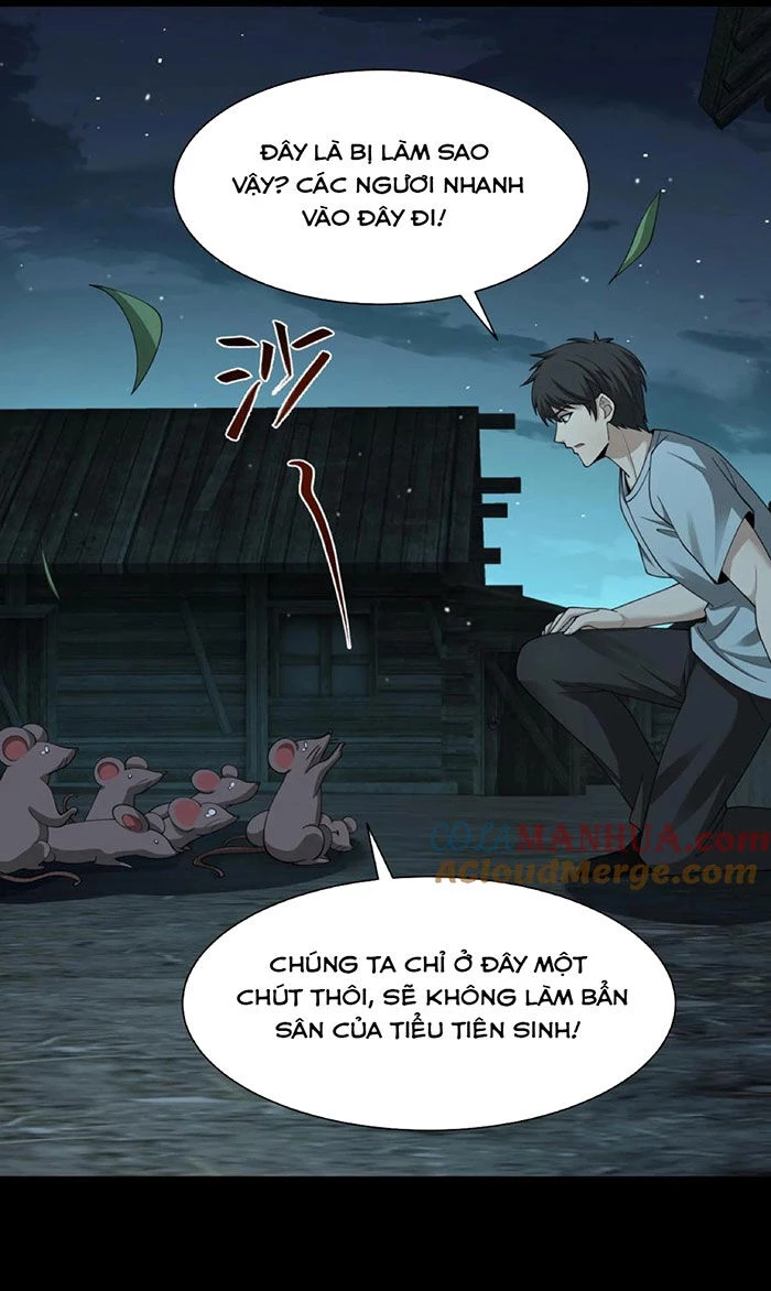 Ngày Tôi Sinh Ra, Bách Quỷ Dạ Hành, Tuyết Thi Hộ Đạo Chapter 217 - Trang 3