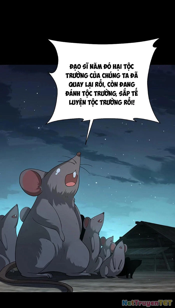 Ngày Tôi Sinh Ra, Bách Quỷ Dạ Hành, Tuyết Thi Hộ Đạo Chapter 217 - Trang 3
