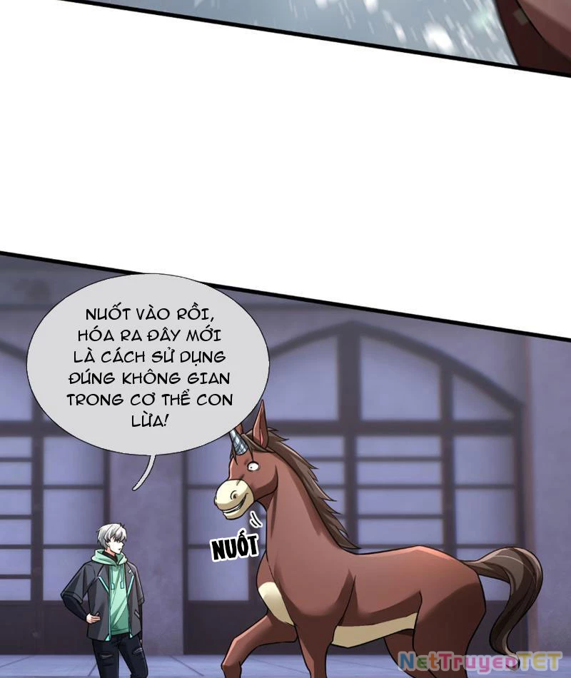 Bắt đầu từ việc chống đẩy một vạn cái: Ta oanh sát thần minh Chapter 27 - Trang 3