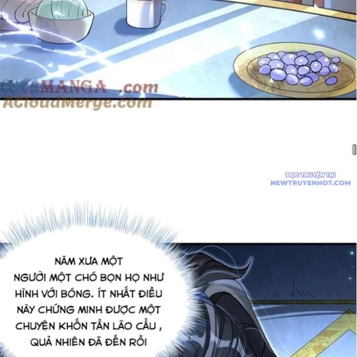 Các Nữ Đồ Đệ Của Ta Đều Là Chư Thiên Đại Lão Tương Lai Chapter 327 - Trang 4