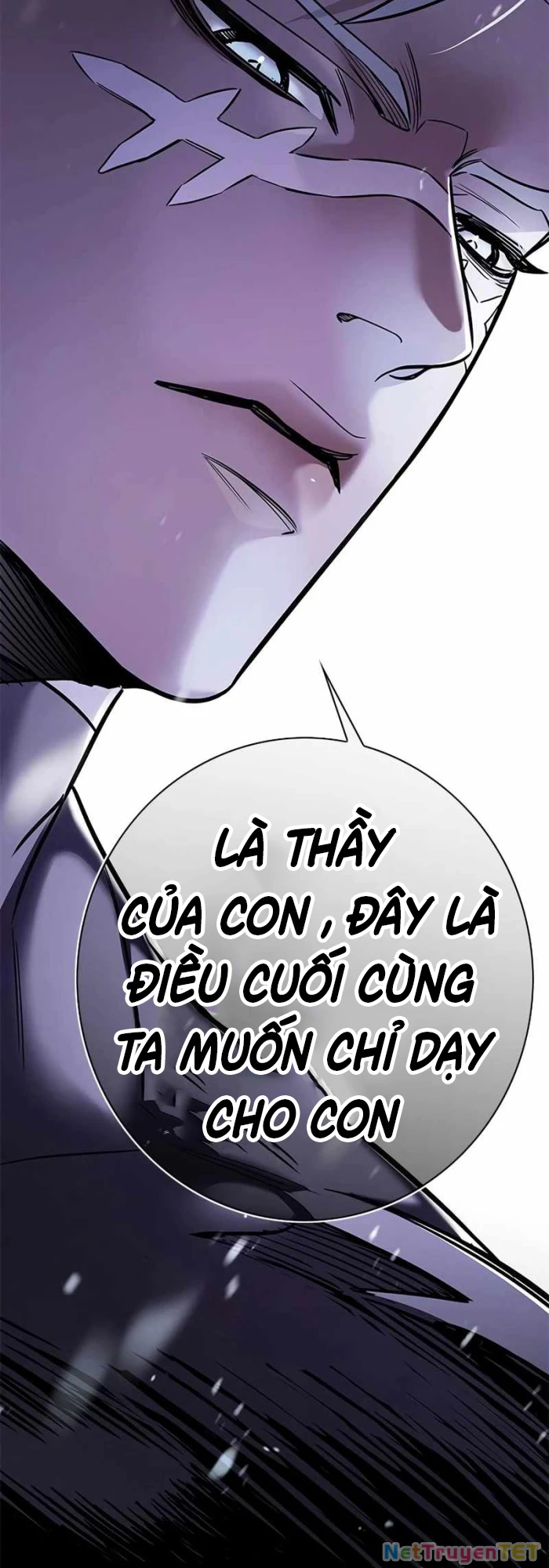 Hoá Thân Thành Mèo Chapter 336 - Trang 4