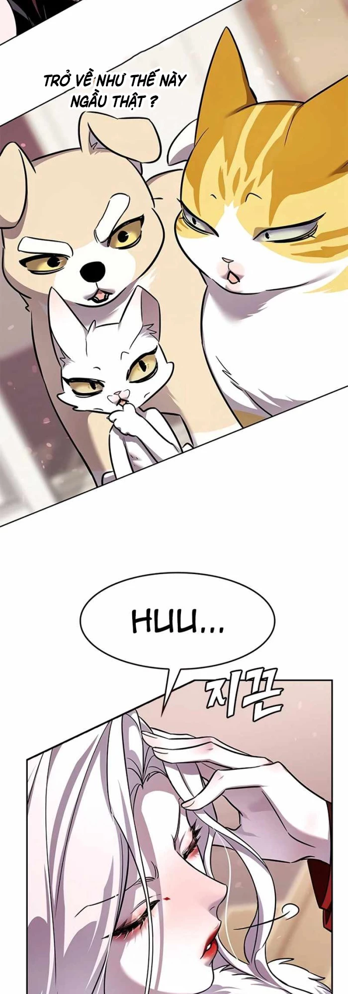 Hoá Thân Thành Mèo Chapter 336 - Trang 4
