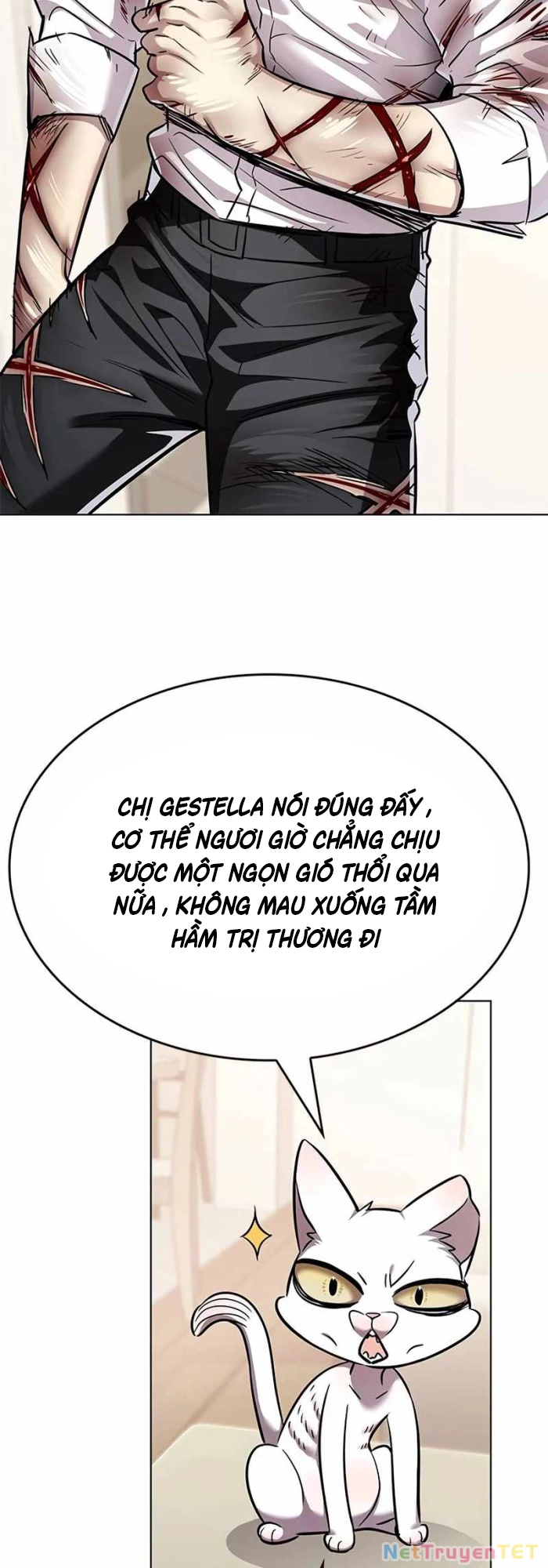 Hoá Thân Thành Mèo Chapter 336 - Trang 4