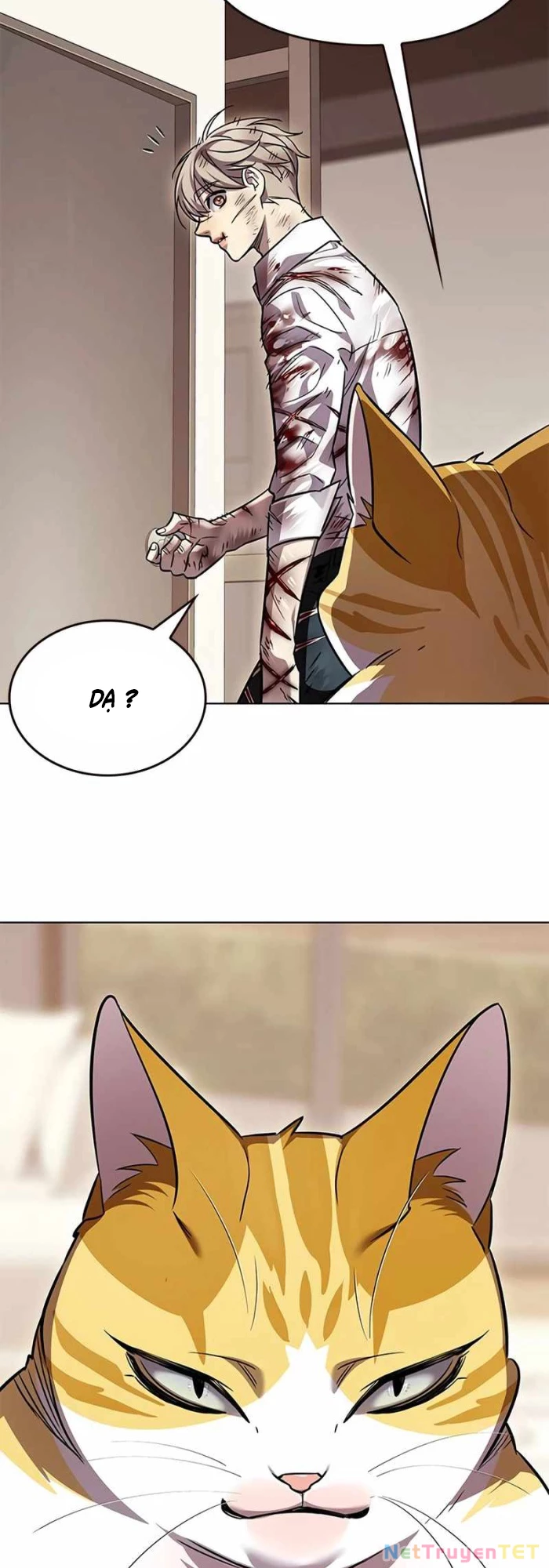 Hoá Thân Thành Mèo Chapter 336 - Trang 4
