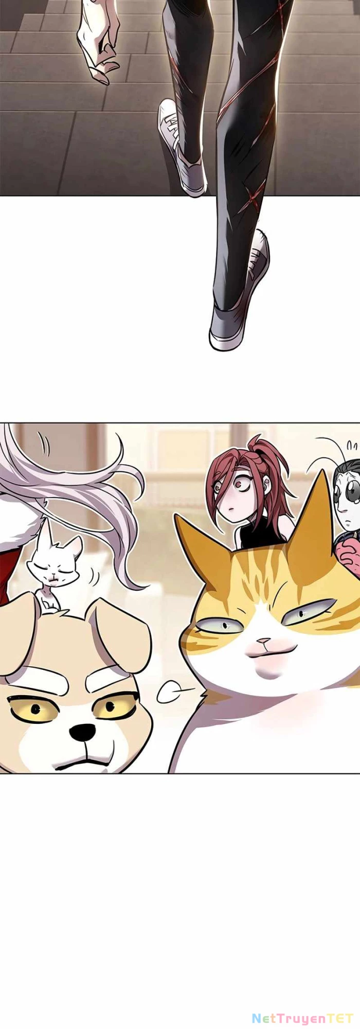 Hoá Thân Thành Mèo Chapter 336 - Trang 4