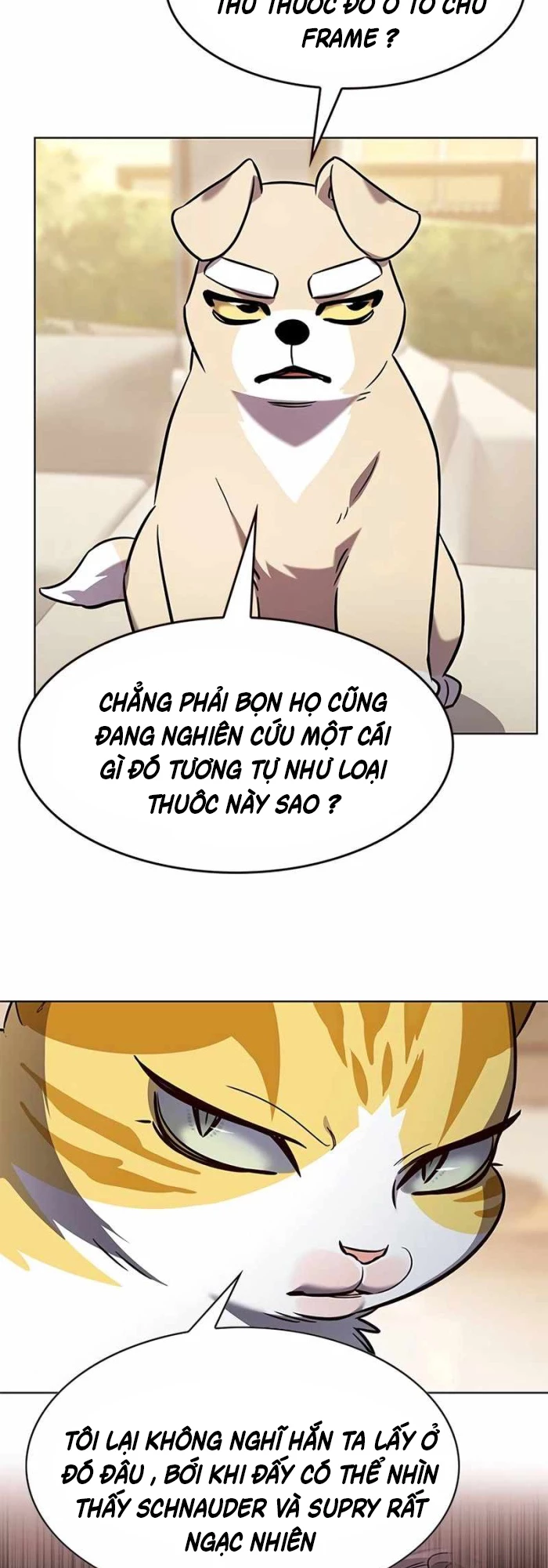 Hoá Thân Thành Mèo Chapter 336 - Trang 4