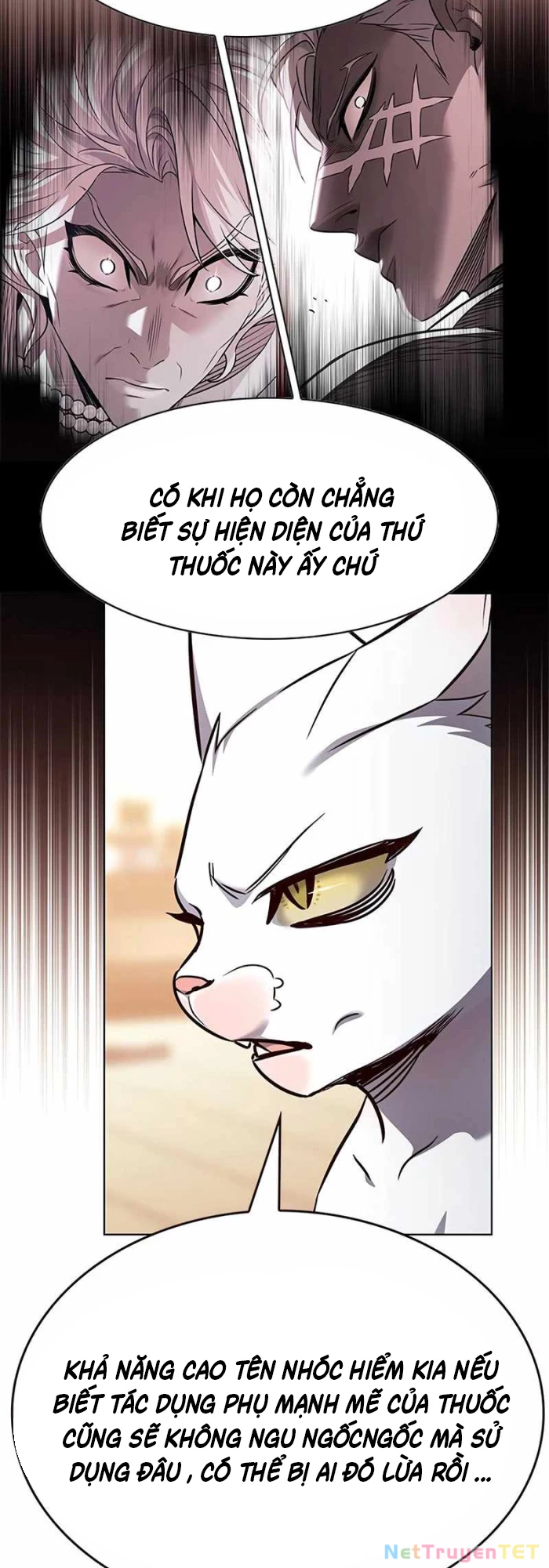 Hoá Thân Thành Mèo Chapter 336 - Trang 4