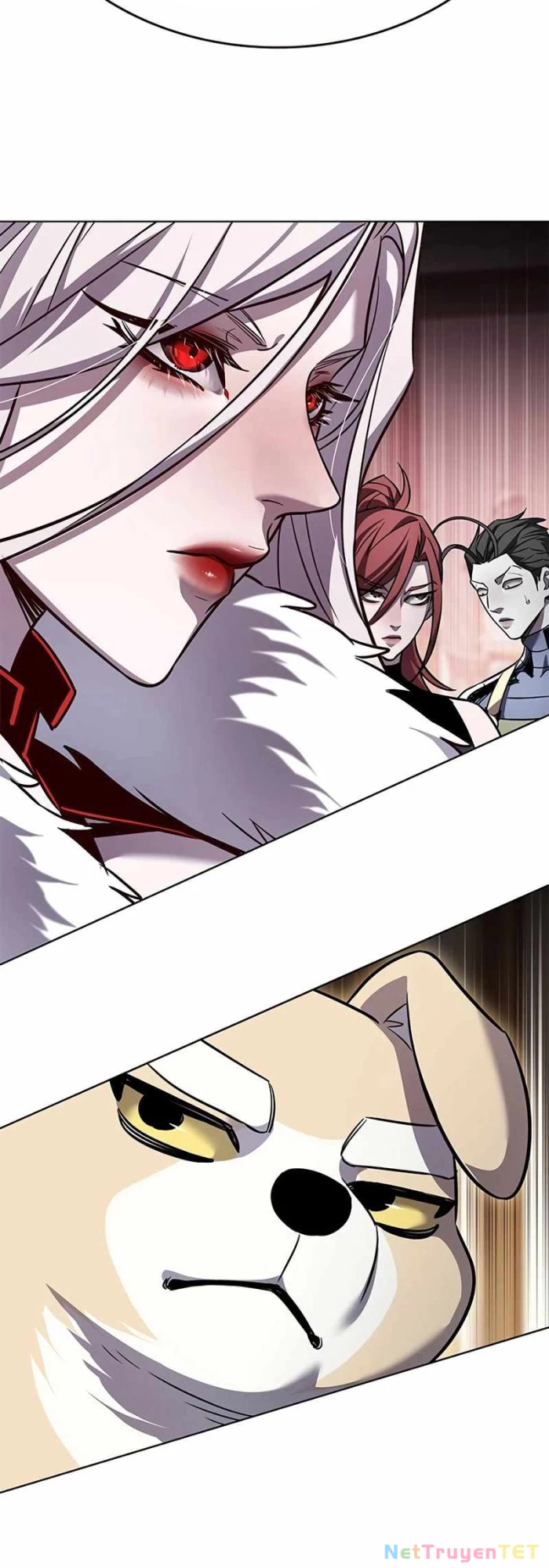 Hoá Thân Thành Mèo Chapter 336 - Trang 4