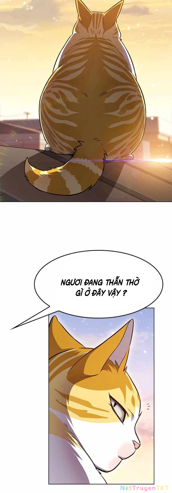 Hoá Thân Thành Mèo Chapter 336 - Trang 4