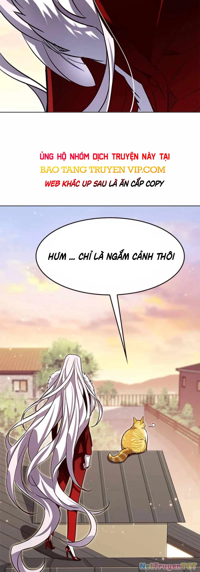 Hoá Thân Thành Mèo Chapter 336 - Trang 4