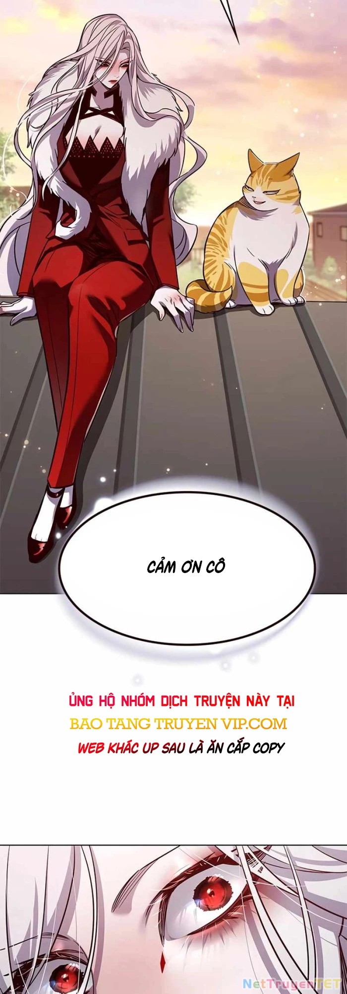 Hoá Thân Thành Mèo Chapter 336 - Trang 4
