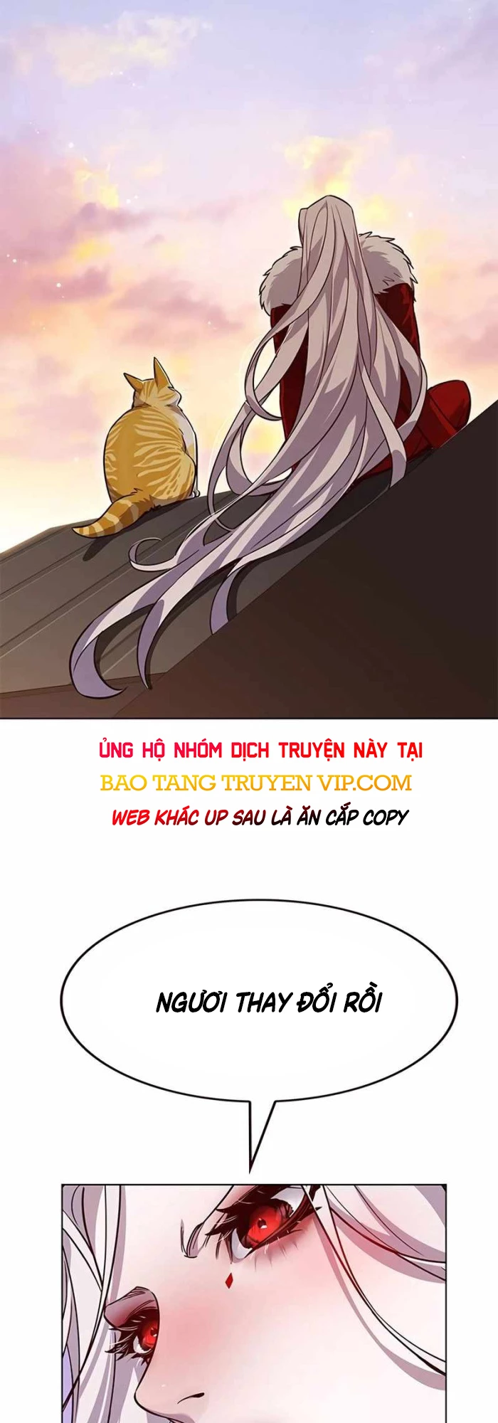 Hoá Thân Thành Mèo Chapter 336 - Trang 4