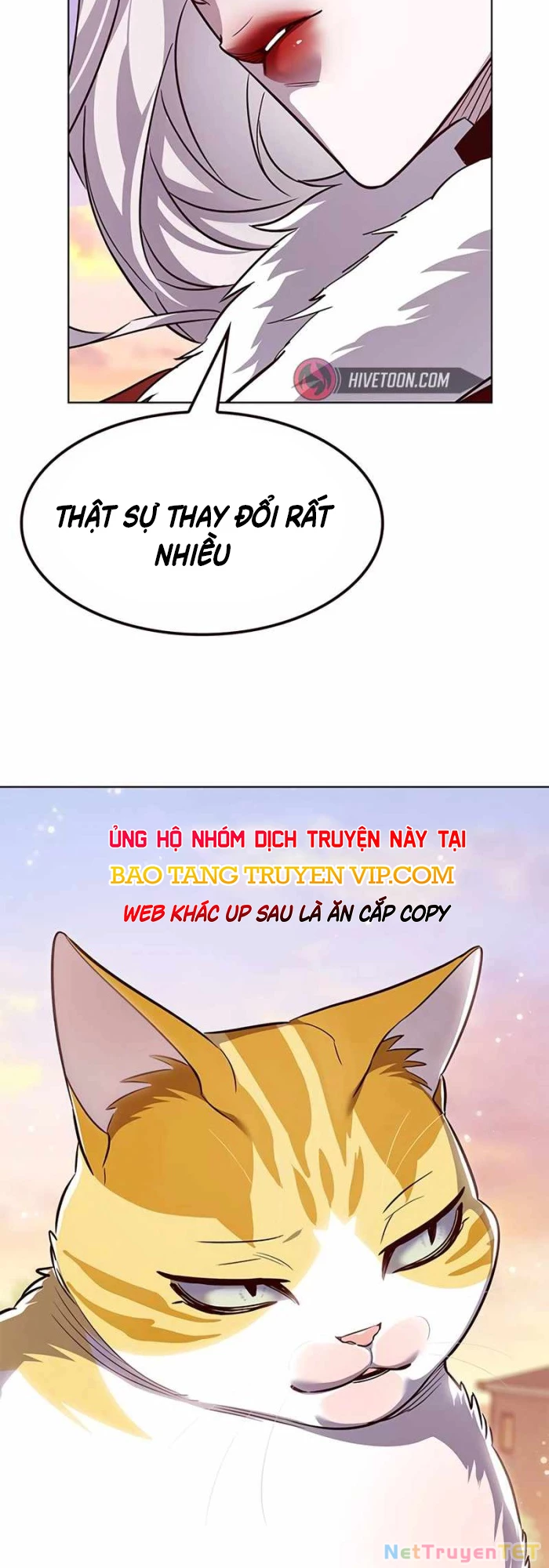 Hoá Thân Thành Mèo Chapter 336 - Trang 4