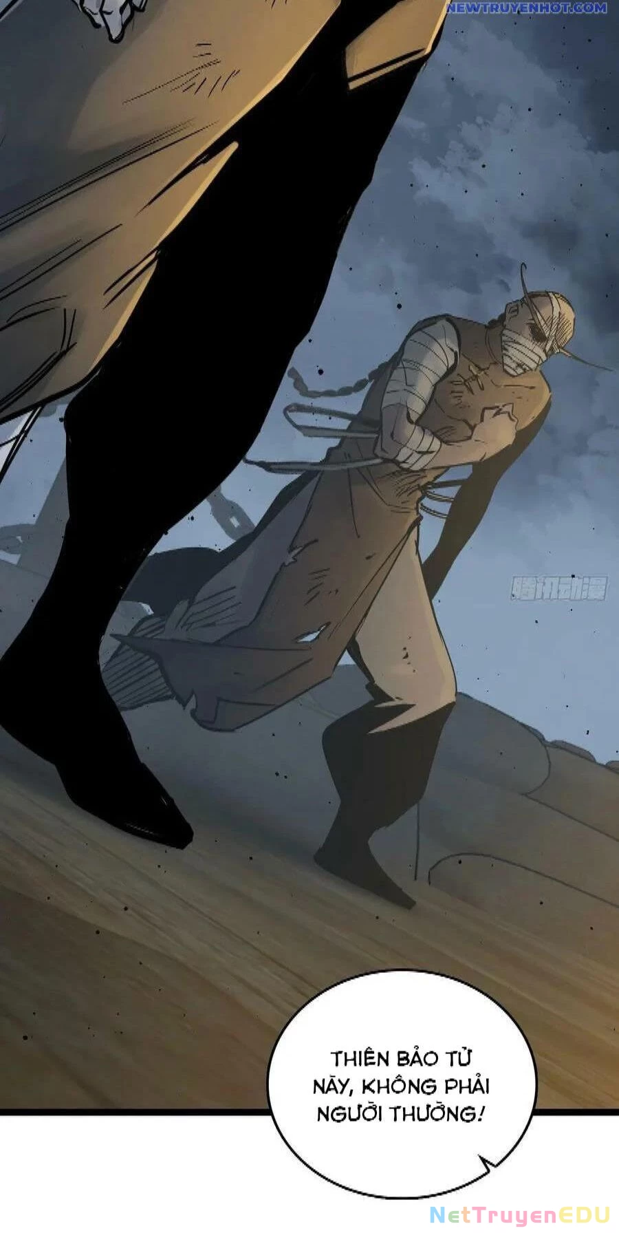 Xuyên Không Thành Chim Chapter 217 - Trang 2