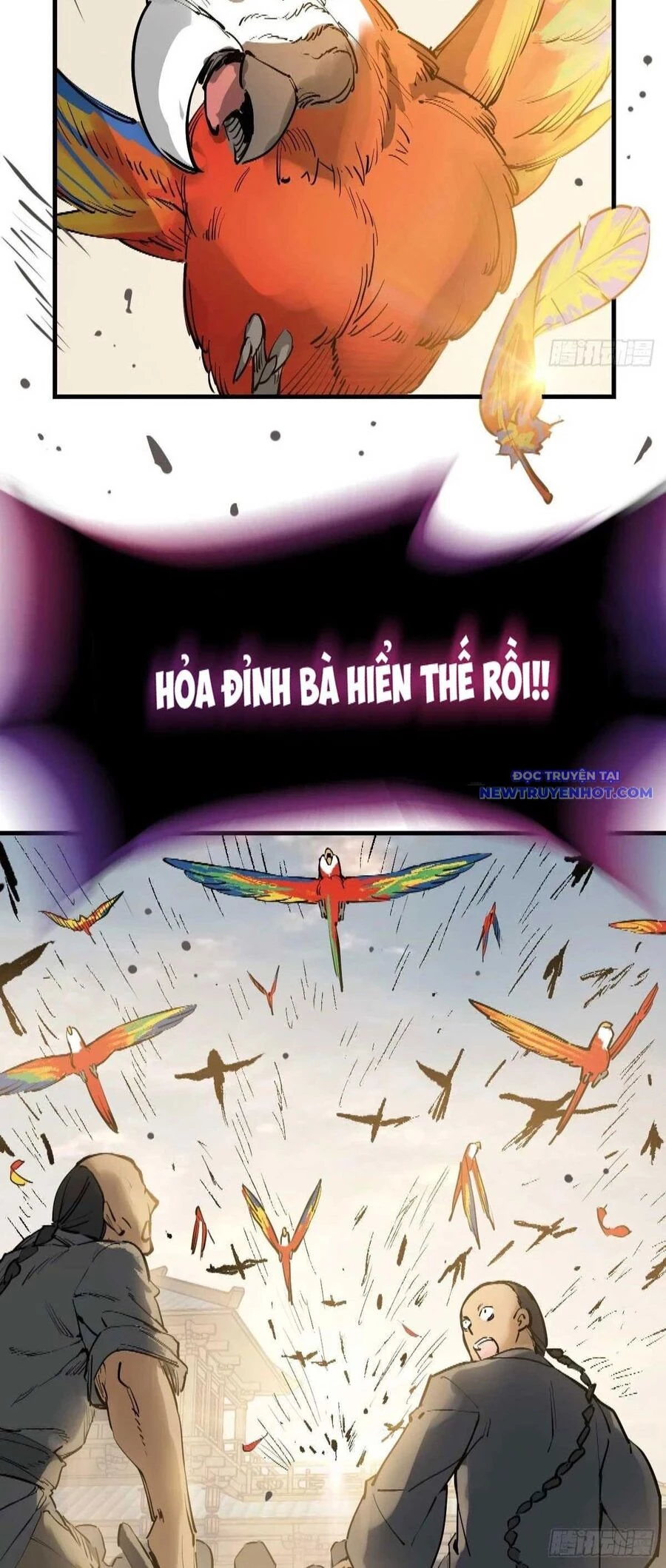 Xuyên Không Thành Chim Chapter 219 - Trang 2