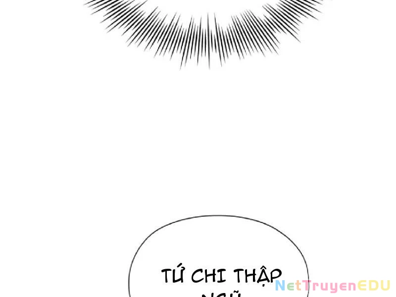 Hoá Ra Ta Đã Vô Địch Từ Lâu Chapter 252 - Trang 4
